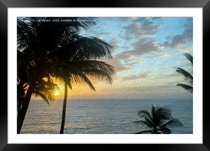 TROPICAL SUNRISE Framed Mounted Print by CATSPAWS 