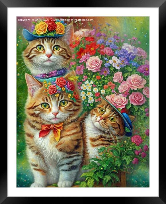 CATS WITH HATS Framed Mounted Print by CATSPAWS 