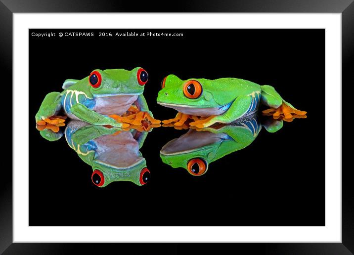 DOUBLE MIRROR FROGGINESS Framed Mounted Print by CATSPAWS 
