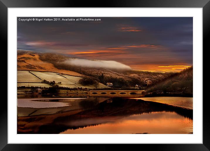 Morning Glory Framed Mounted Print by Nigel Hatton