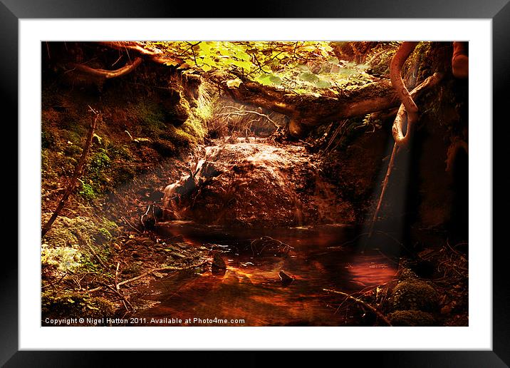 Enchanted Dell Framed Mounted Print by Nigel Hatton