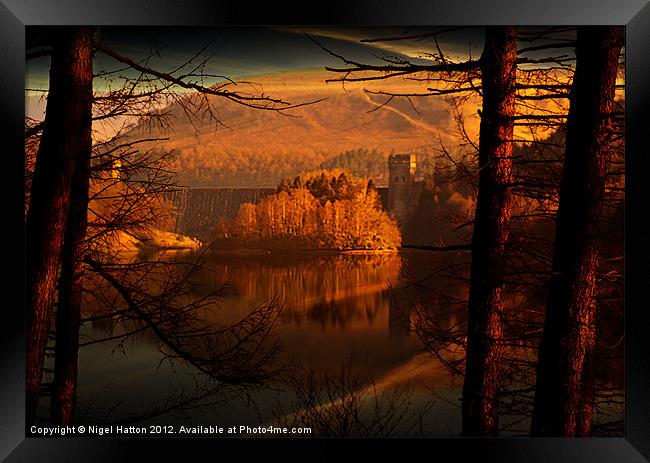 Behind The Trees Framed Print by Nigel Hatton