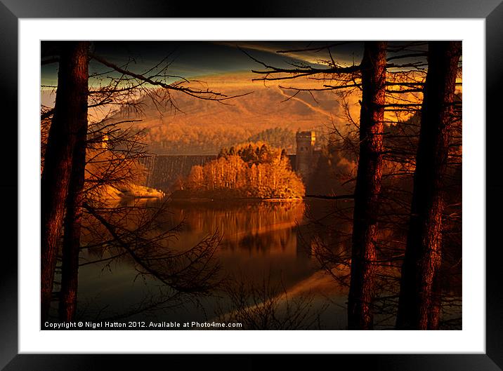 Behind The Trees Framed Mounted Print by Nigel Hatton