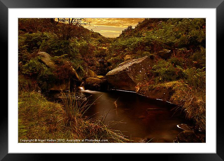 The Small Pool Framed Mounted Print by Nigel Hatton