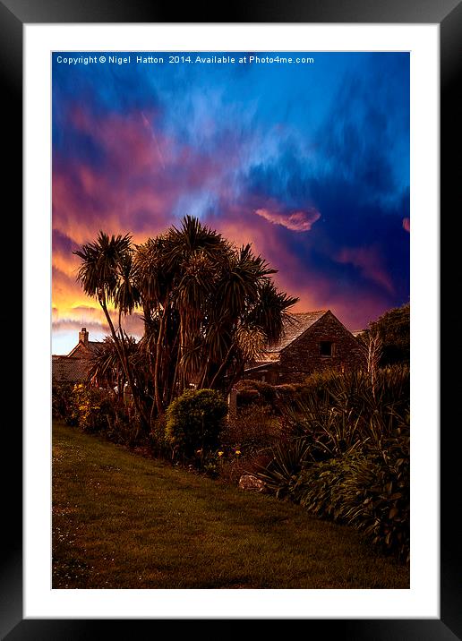 Palm Trees #2 Framed Mounted Print by Nigel Hatton