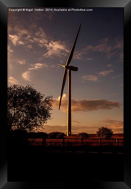 Raw Power Framed Print by Nigel Hatton