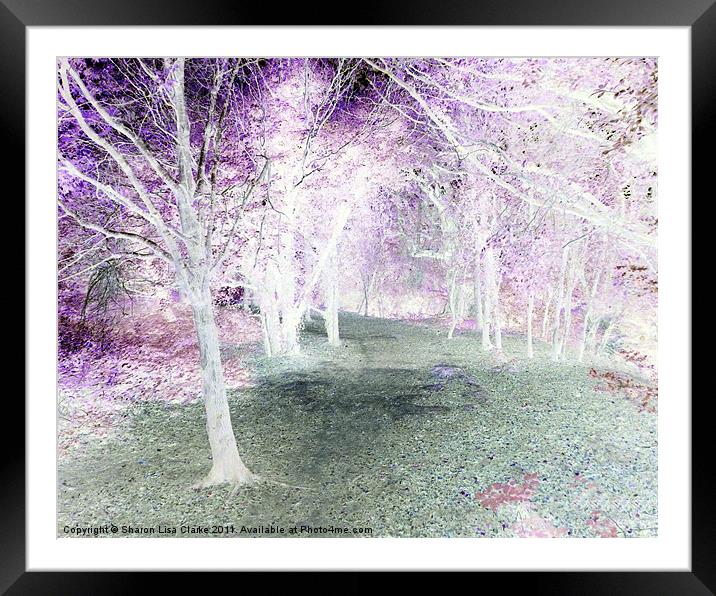 enchanted wood in negative Framed Mounted Print by Sharon Lisa Clarke