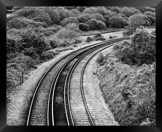 winding railway tracks Framed Print by Sharon Lisa Clarke