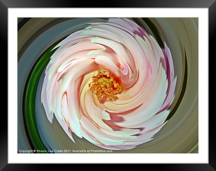 floral swirl Framed Mounted Print by Sharon Lisa Clarke