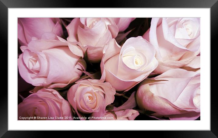 Sweet Roses Framed Mounted Print by Sharon Lisa Clarke