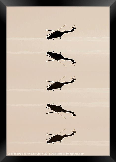Flying High Framed Print by Sharon Lisa Clarke