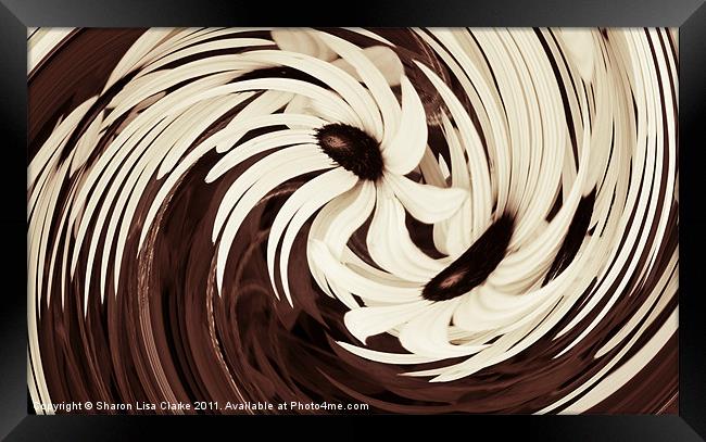 Chocolate and cream Framed Print by Sharon Lisa Clarke