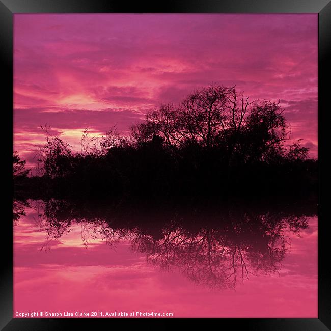 Sunset Reflection 2 Framed Print by Sharon Lisa Clarke