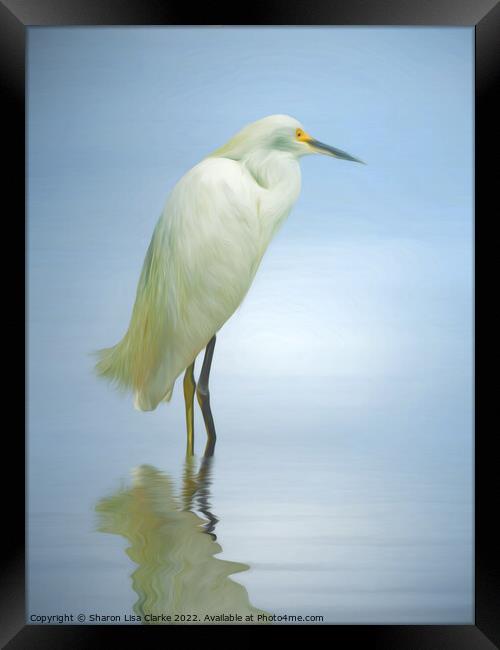 Egret on blue Framed Print by Sharon Lisa Clarke