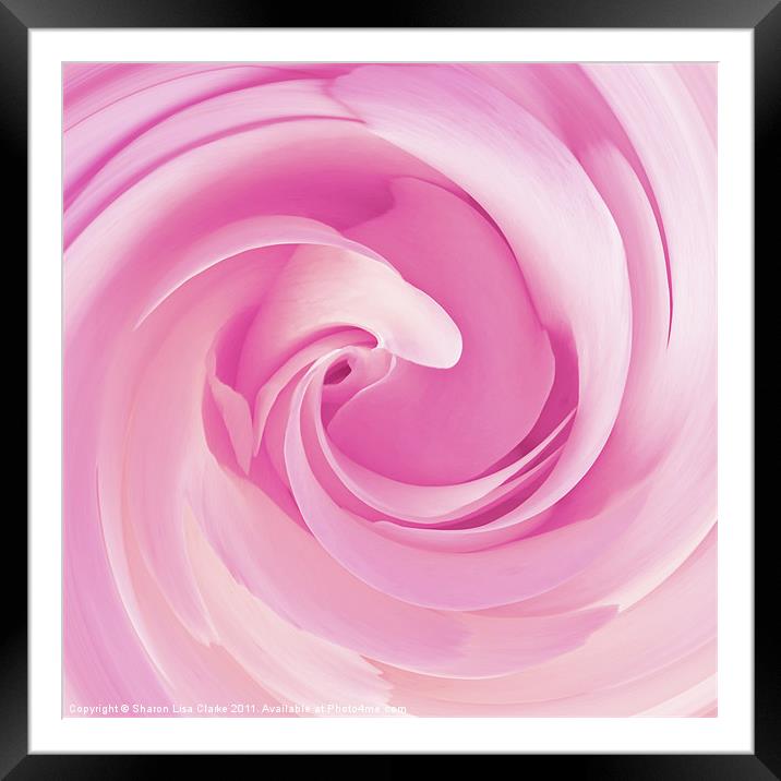 Pure pink Framed Mounted Print by Sharon Lisa Clarke