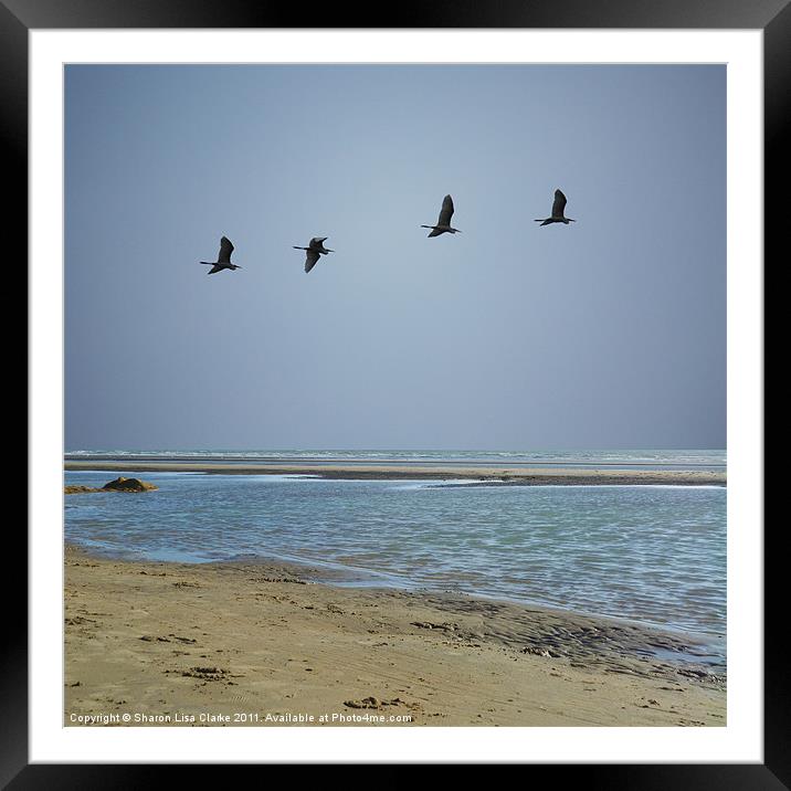 Flight Framed Mounted Print by Sharon Lisa Clarke