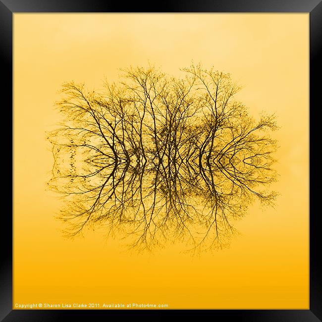 Branches Framed Print by Sharon Lisa Clarke