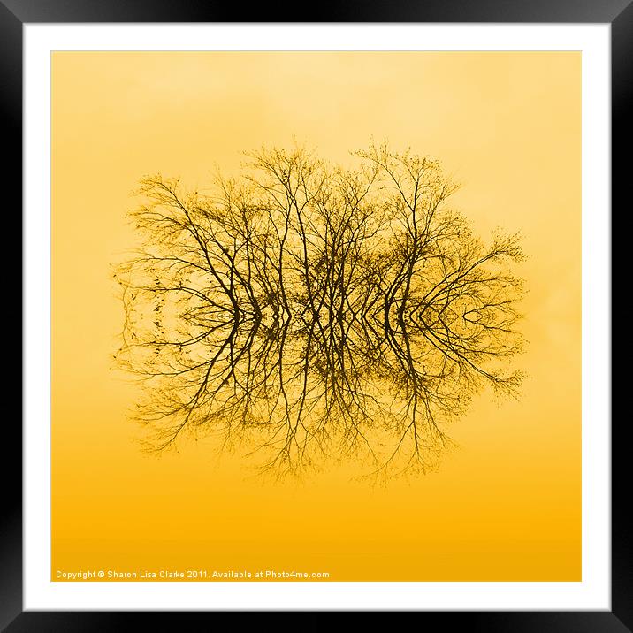 Branches Framed Mounted Print by Sharon Lisa Clarke