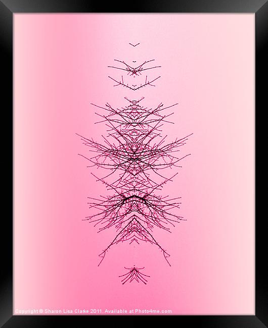 Raspberry Branches 2 Framed Print by Sharon Lisa Clarke