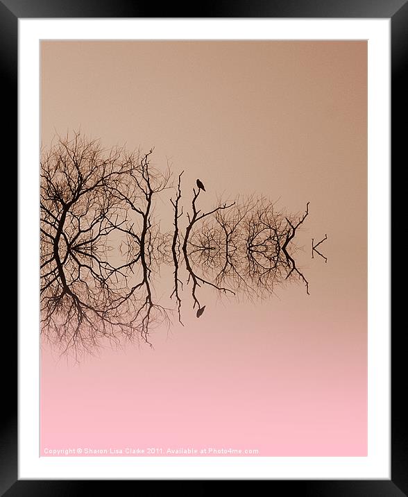 Branches and Birds Framed Mounted Print by Sharon Lisa Clarke