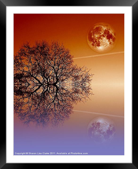 Moonlit tree Framed Mounted Print by Sharon Lisa Clarke