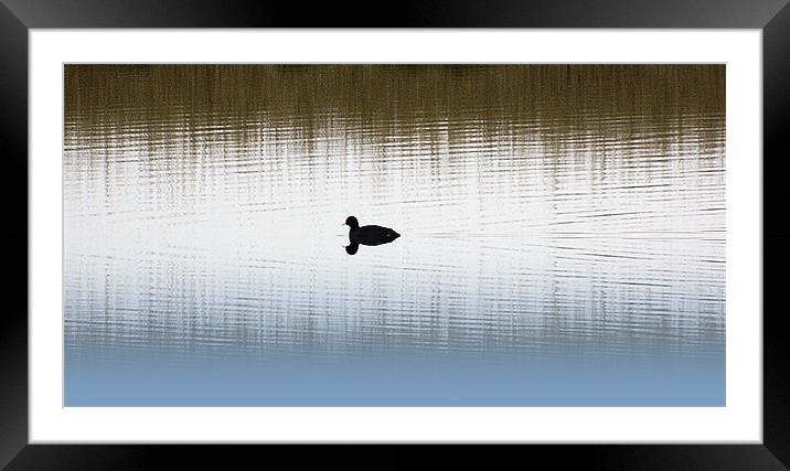 Ripples Framed Mounted Print by Sharon Lisa Clarke