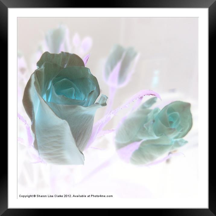 Reversed Roses Framed Mounted Print by Sharon Lisa Clarke