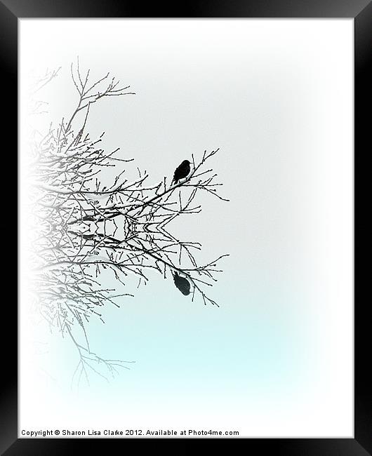 Winter Perch Framed Print by Sharon Lisa Clarke