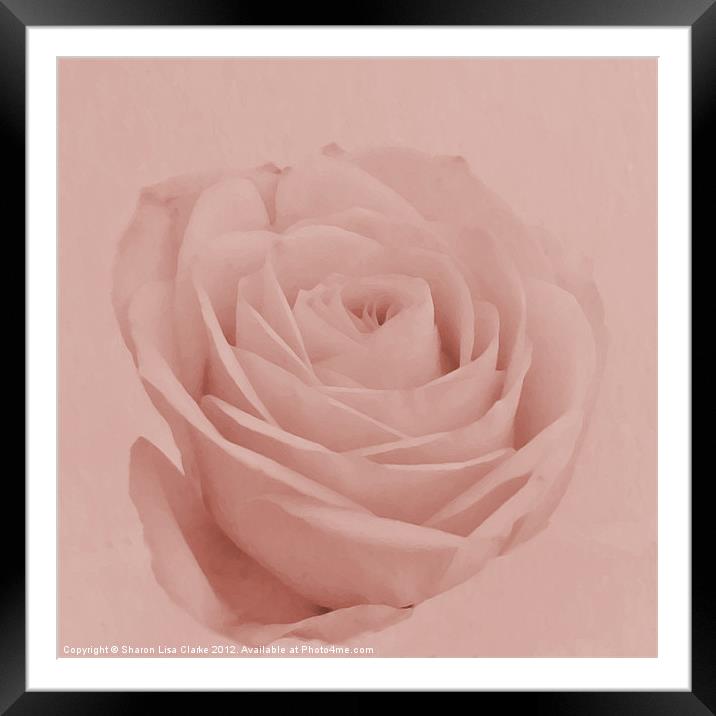 Delicate Framed Mounted Print by Sharon Lisa Clarke