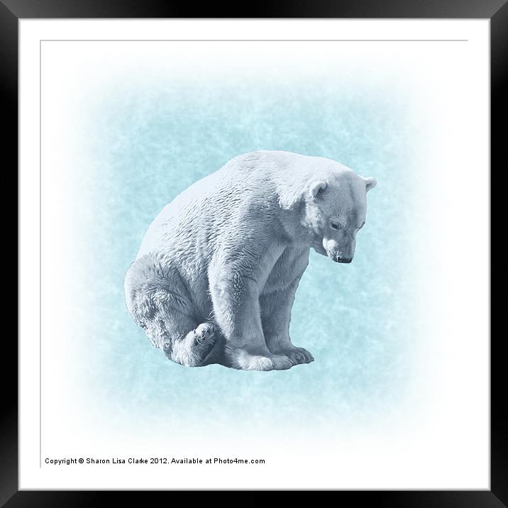 Bear Framed Mounted Print by Sharon Lisa Clarke