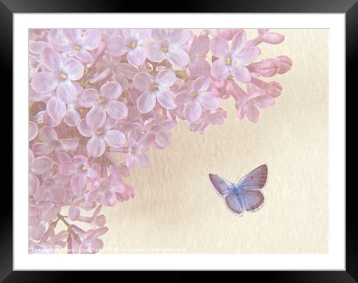 Lilac Framed Mounted Print by Sharon Lisa Clarke