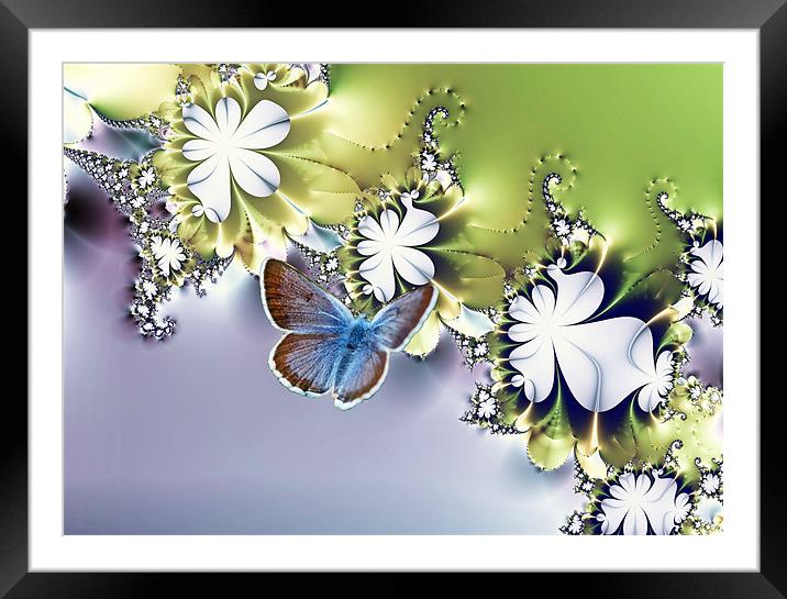 Botanical Flutters Framed Mounted Print by Sharon Lisa Clarke