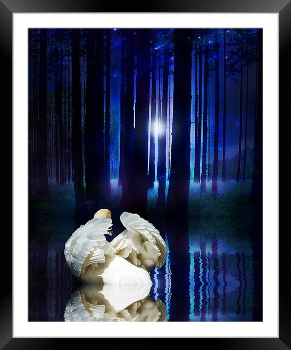Enchanted Forest Framed Mounted Print by Sharon Lisa Clarke
