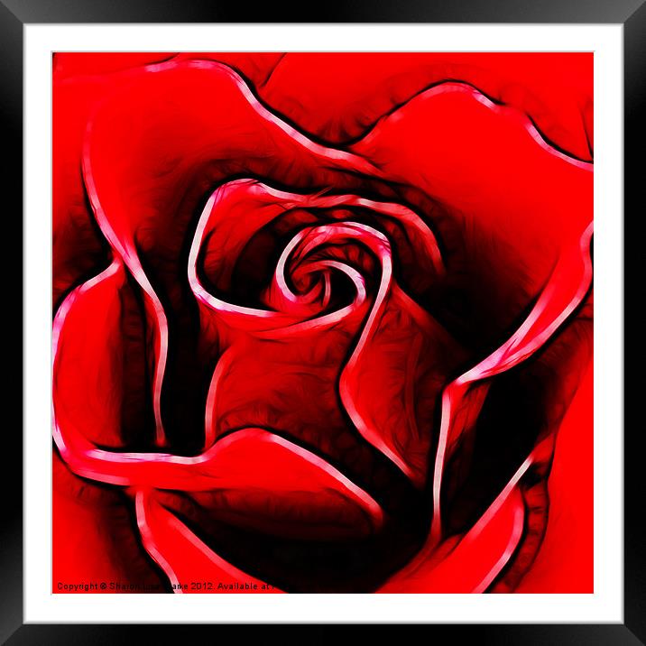 Red Rose Framed Mounted Print by Sharon Lisa Clarke