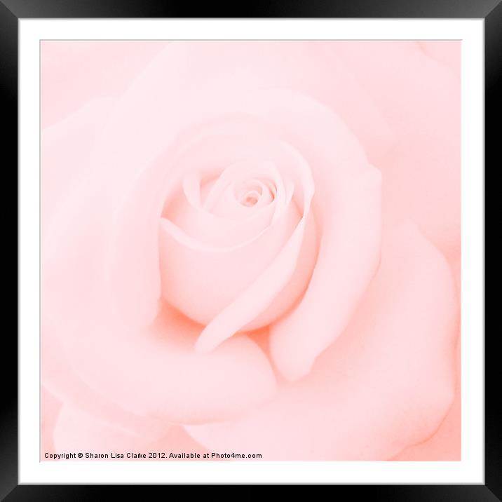 Softness Framed Mounted Print by Sharon Lisa Clarke