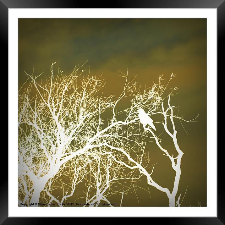 Olive Branches Framed Mounted Print by Sharon Lisa Clarke