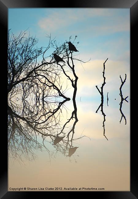Crows Framed Print by Sharon Lisa Clarke