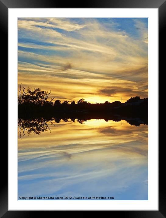 Streaks of Gold Framed Mounted Print by Sharon Lisa Clarke