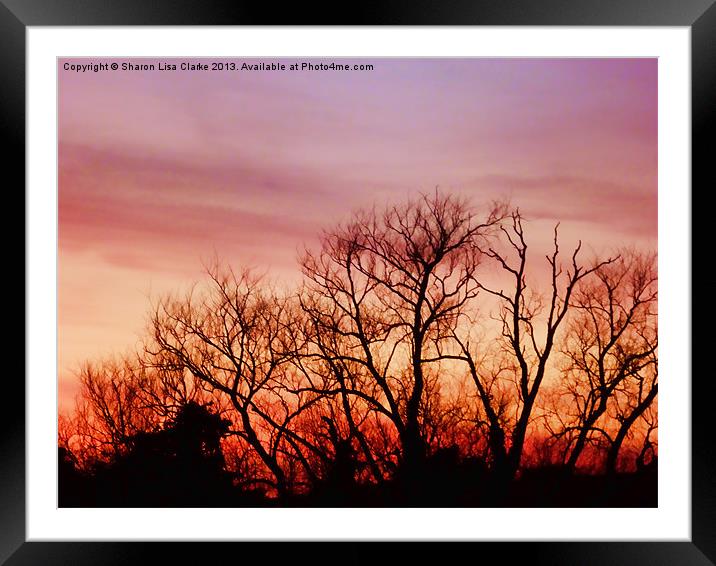 Crimson treetops Framed Mounted Print by Sharon Lisa Clarke