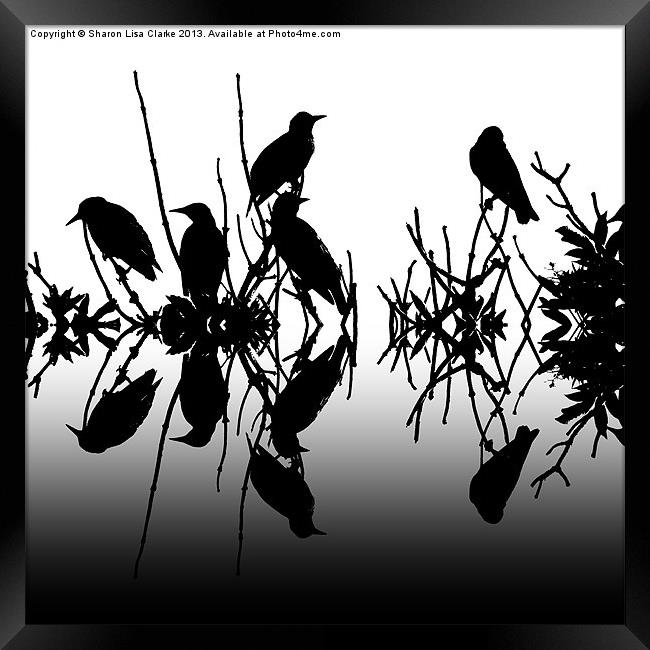 Black Birds Framed Print by Sharon Lisa Clarke