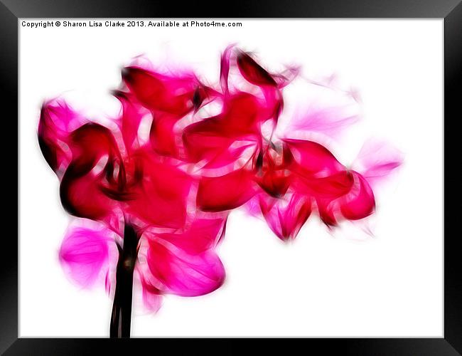 Fractalius pink orchid Framed Print by Sharon Lisa Clarke