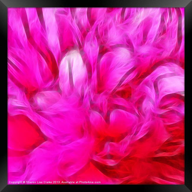 Peony heart Framed Print by Sharon Lisa Clarke