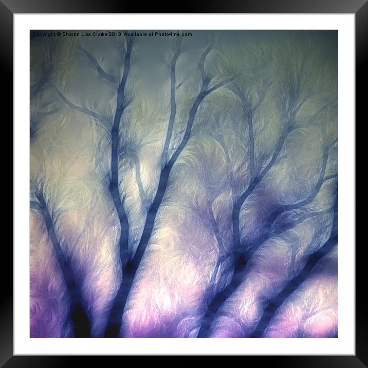 Mystic trees Framed Mounted Print by Sharon Lisa Clarke