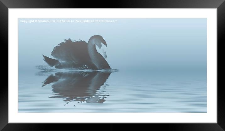 Swan lake Framed Mounted Print by Sharon Lisa Clarke