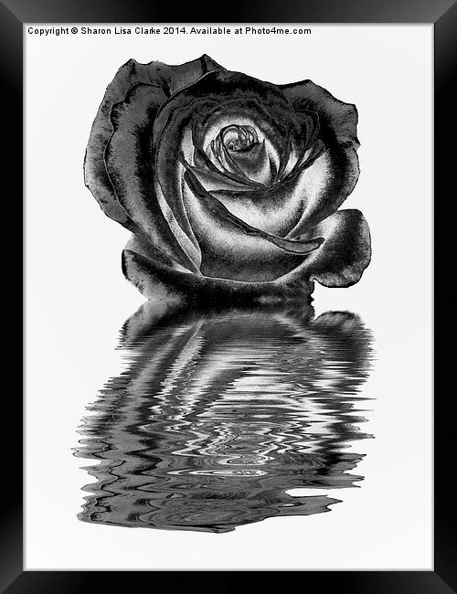 Chrome rose Framed Print by Sharon Lisa Clarke