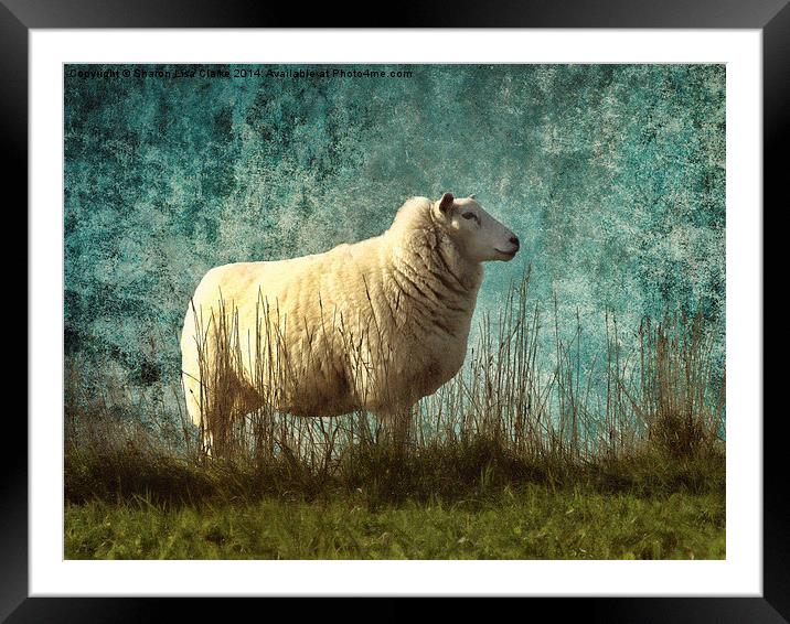 Vintage Sheep Framed Mounted Print by Sharon Lisa Clarke