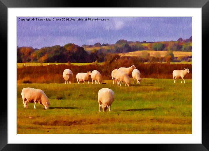  Sheepish Framed Mounted Print by Sharon Lisa Clarke