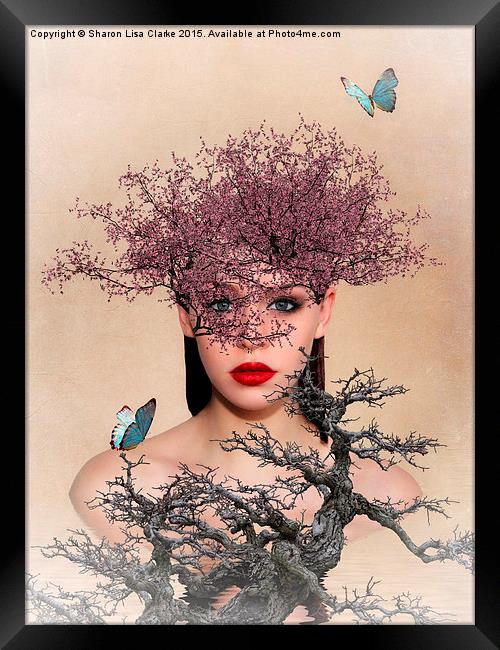  Natures Beauty Framed Print by Sharon Lisa Clarke