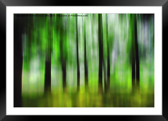  Forest Framed Mounted Print by Sharon Lisa Clarke