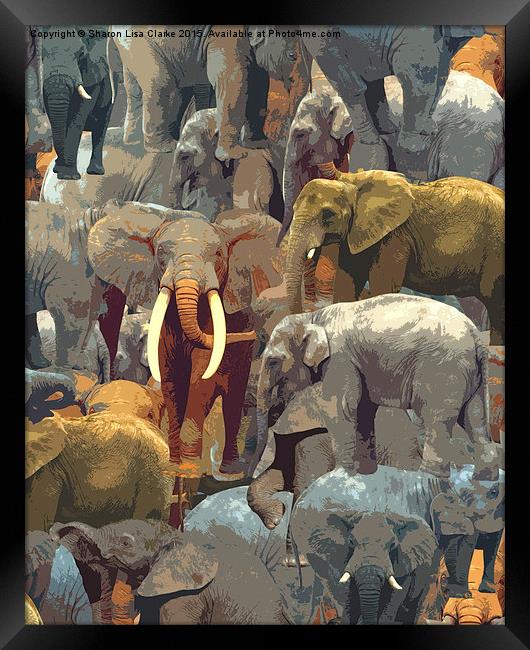  Elephant effect Framed Print by Sharon Lisa Clarke